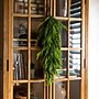 Nearly Natural Artificial Real Touch Norfolk Island Pine Teardrop, 3' (W1400)~#|#~43C1DE9B-6851-46B6-BC5EDAEBBA291D40_sc7