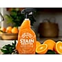 Angry Orange Enzyme Stain and Odor Remover, Orange Twist Scent, 24 fl. oz. (AORCITRUS24OZFG)~#|#~43C5EE6A-AF7B-49CA-AF5FF0EAAE89555A_sc7