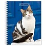 2027 BrownTrout Cat Lovers 6.5" x 7.8" Calendar Year Weekly Standard Planner, Multicolor (9798330709427)~#|#~43C6E86F-632F-45B8-80DDBDBEECF72001_sc7
