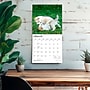 2027 BrownTrout Siberian Husky Puppies 12" x 12" Monthly Wall Calendar (9798330712700)~#|#~43D5ED84-8FE7-4334-A62780FFC8176DCF_sc7