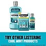 Listerine Cool Mint PocketPaks Breath Strips, 24 Strips/Pack (524336500)~#|#~43E37878-694A-4A2C-878399C768A3B0D2_sc7