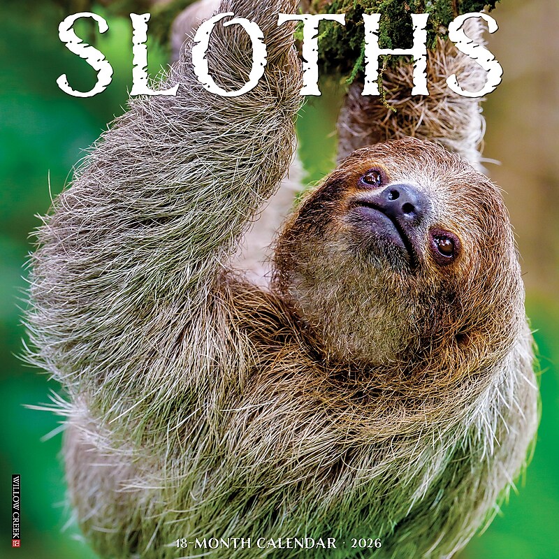 2026 Willow Creek Sloths 12" x 12" Monthly Wall Calendar (52846) image 1
