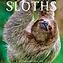 2026 Willow Creek Sloths 12" x 12" Monthly Wall Calendar (52846)~#|#~44269564-66B3-4DB8-A290D2DFC2F1BD34_sc7