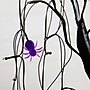 Nearly Natural Pre-Lit Halloween Artificial Black Spooky Spider Willow Tree, 2' (T5352)~#|#~4428DC21-5E84-455B-9B4DA4E4FB88B1C3_sc7