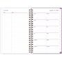 2025 Blue Sky Britt Mills Citrus Sunrise 5" x 8" Weekly & Monthly Planner, Plastic Cover, Multicolor (152472)~#|#~44379184-2113-44C7-94802BE52C0CC087_sc7
