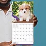 2027 TF Publishing Puppies 7" x 7" Monthly Wall Calendar, Multicolored (27-2007)~#|#~4439B0B3-8F3A-4D97-8FCD405B465F9EEE_sc7