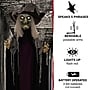 Haunted Hill Farm Life-Size Poseable Witch (HHWITCH-27FLSA)~#|#~444BB139-4976-415C-9C94DA136BCBFDAE_sc7