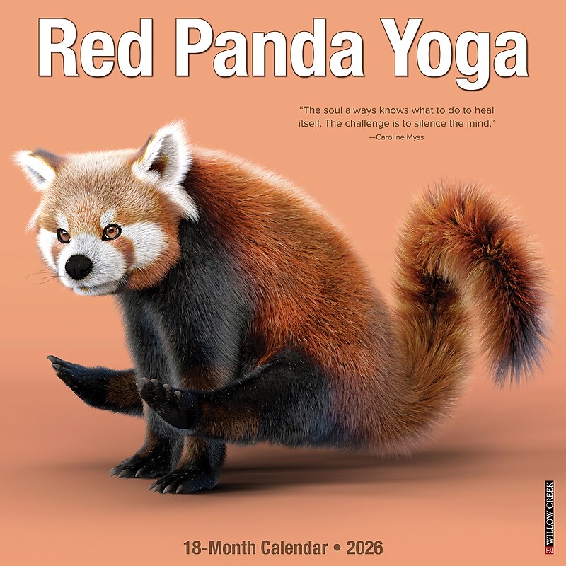 2026 Willow Creek Red Panda Yoga 12" x 12" Monthly Wall Calendar (56073) image 1