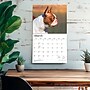 2027 BrownTrout For the Love of Boston Terriers 14" x 12" Monthly Wall Calendar, Assorted Colors (9798330714667)~#|#~447E7597-3974-4082-828752809D3A69E9_sc7