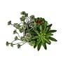 Monarch Specialties Inc. 9" Artificial Succulent Plant in Pot, 2/Set (I 9365)~#|#~44948D45-39E1-47EA-8090C89576C8F4B3_sc7
