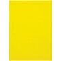 9" x 12" Reclosable Poly Bag, 2 Mil, Yellow, 1000/Carton (PB3645Y)~#|#~44A6D3D8-D4D9-4ED8-AF90B148B52DC899_sc7