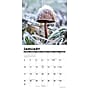 2027 Willow Creek Mushrooms 7" x 7" Monthly Wall Calendar, Assorted Colors (64092)~#|#~44B58E85-6962-47BA-B11F3BF06C18CBFF_sc7