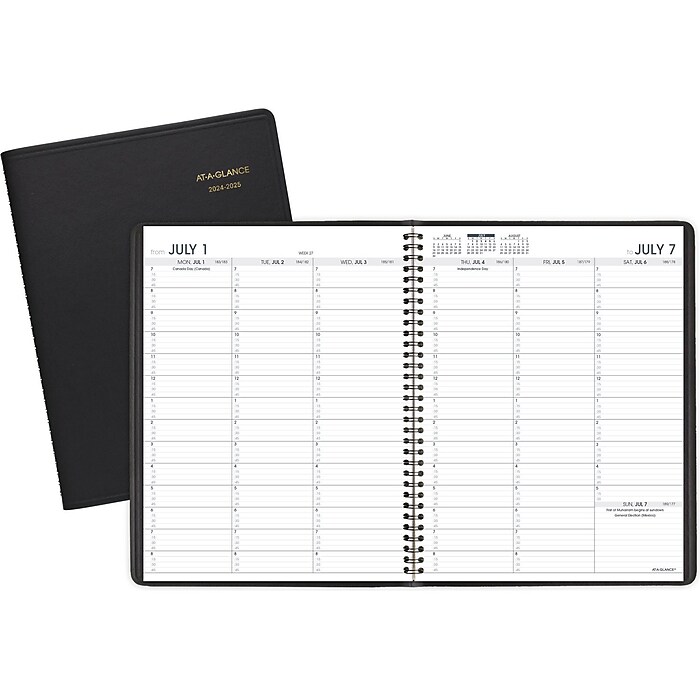 2024-2025 AT-A-GLANCE 8.25