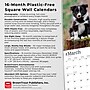 2026 BrownTrout Border Collie Puppies 12" x 12" Monthly Wall Calendar (9798330702541)~#|#~452CBDB0-A009-488B-AA94F37AEE99B4A7_sc7