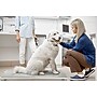 Viva Comfort Veterinary Weight Scale, White, 660 lbs. Capacity (ADI904-04-MK)~#|#~45447518-9884-4CC1-97733B0C69D8883D_sc7