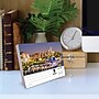 2027 Willow Creek Beautiful USA 6.2" x 5.4" Daily Day-to-Day Calendar, Assorted Colors (63200)~#|#~454B7AD2-FED6-4BE1-B0F4D54B547891F7_sc7