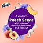 Fabuloso 2X All-Purpose Cleaner & Spray, Peach Scent (61046751) ~#|#~4554D17D-3017-41FA-B877E7C4D7826836_sc7