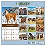 2027 TF Publishing Horses 12" x 12" Monthly Wall Calendar (27-1012)~#|#~4559E3D6-B171-4F69-8CB7494FB8ACD039_sc7