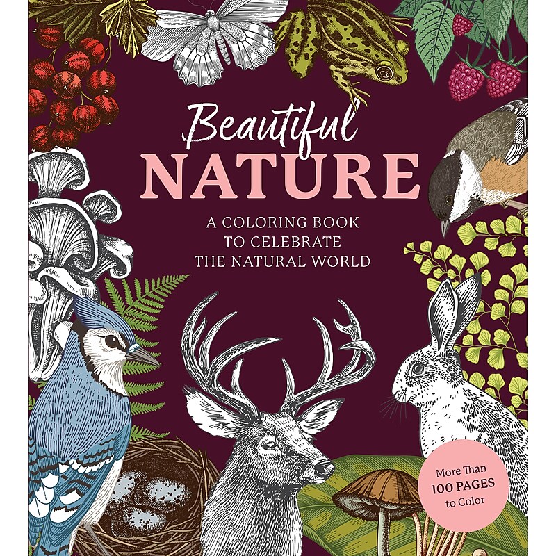 Quarto Beautiful Nature Coloring Book, 128 Pages (9780785843382) image 1