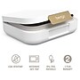 bentgo Modern Lunch Box, White, 44 oz. (BGOMDN-W)~#|#~458B3FB4-6391-4DA2-A81E960707074A01_sc7