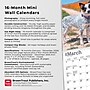 2026 BrownTrout Australian Cattle Dogs 7" x 7" Monthly Wall Calendar (9798330702183)~#|#~458C5808-BD1C-40C2-93838FBF9E430643_sc7
