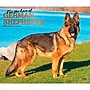 2027 BrownTrout For the Love of German Shepherds 14" x 12" Monthly Wall Calendar, Assorted Colors (9798330709250)~#|#~45912C97-36D1-4CC5-A66E1770230B1485_sc7