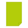 Astrobrights 11" x 17" Color Copy Paper, 24 lbs. Terra Green, 2,500 Sheets/Carton (22583CT)~#|#~45964A3C-5BFC-43E9-B877F123459F93C0_sc7