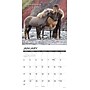 2027 Willow Creek Seize the Hay! 12" x 12" Monthly Wall Calendar, Assorted Colors (62272)~#|#~459F7C3D-2C79-4FE4-84B07A2DA34F8544_sc7