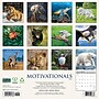 2027 Willow Creek Motivationals 12" x 12" Monthly Wall Calendar, Assorted Colors (61336)~#|#~45A0FB2F-4D22-45BC-82B093CAF1A682BA_sc7
