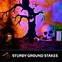 Haunted Hill Farm 2-Ft. Metal Spooky Tree Stake with LED Lantern, Indoor & Covered Outdoor, Plug-in, Black (HHMT024OWLTREE-BLK)~#|#~45B57370-6B0A-4817-82019B467BA5D94B_sc7