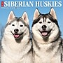 2026 Willow Creek Siberian Huskies 12" x 12" Monthly Wall Calendar (52792)~#|#~45BAF58E-7C46-4CAE-B596D4A96B23E137_sc7