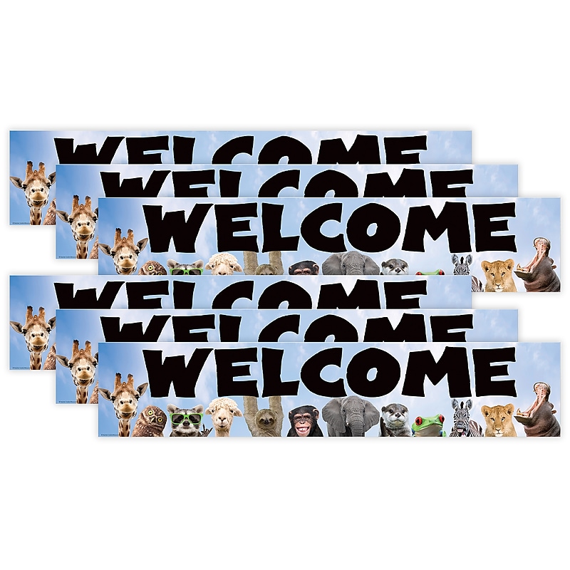 Teacher Created Resources Go Wild Animals Welcome Banner, 8" x 39", 6 Packs/Bundle (TCR6836-6) image 1