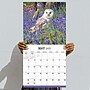 2027 TF Publishing Owls 11" x 12" Monthly Wall Calendar, Multicolored (27-1044)~#|#~45CF14B0-7602-4C35-A6CCCD993F9742A6_sc7