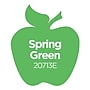 Apple Barrel Acrylic Paint Matte, 8oz., Spring Green, 6/Pack (APP20713E-6)~#|#~45F2B451-76C1-476A-B4D5E1F45092AAB6_sc7