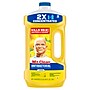 Mr. Clean Antibacterial Multi-Surface Cleaner, Lemon Scent, 64 fl. oz. (11290)~#|#~45F5E58C-D1A1-44F3-8429A0FFC44C0006_sc7