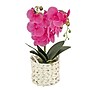 National Tree Company 21" Purple Orchid Flower in White Basket (MT81-PH0254PPR)~#|#~461F0396-A322-47A3-AA0FF5E85AD7F5F4_sc7