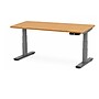Uncaged Ergonomics Rise Up 60"W Electric Adjustable Bamboo Standing Desk, Natural/Gray (RUGB)~#|#~461F0C09-0A84-423B-89C53FDC37C2E888_sc7