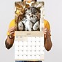 2027 TF Publishing Cat Dreams 12" x 12" Monthly Wall Calendar (27-1003)~#|#~462A744A-5BB4-4F65-A436329682812078_sc7