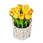 National Tree Company 10" Yellow Tulip Bouquet in White Basket (MT81-10926GYW-1)~#|#~4658A675-094D-4D35-AF404D007E2B89AB_sc7