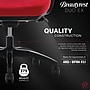 Beautyrest Duo-EX Ergonomic Mesh Swivel Computer Chair, Red (60051-RED)~#|#~466B8C61-E58D-44B2-AC177D7D76A36CC4_sc7