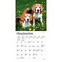 2027 BrownTrout Beagles 7" x 7" Monthly Wall Calendar, Assorted Colors (9798330709885)~#|#~46816EEF-C635-4A35-8072E4E7B36FFD1E_sc7