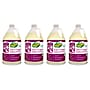 OdoBan Professional 3-in-1 Carpet Cleaner, 1 Gallon, 4/Carton (9602B624PK-STP)~#|#~46838AB4-0091-42D0-A7DE595E331CD90E_sc7