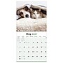 2027 TF Publishing Furry Friends 12" x 12" Monthly Wall Calendar (27-1011)~#|#~46899D72-A077-4D3A-A40286E71B273358_sc7
