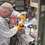Gloveworks GWON Nitrile Gloves, Large, Orange, 100/Box (GWON46100)~#|#~46954641-6FBF-4AE5-B562E5F637523641_sc7