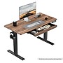 Huanuo 48"W Electric Rectangular Adjustable Standing Desk with Storage Drawer, Walnut (HNESD77WN)~#|#~46984753-F607-497A-B6EAFB161ED3B29B_sc7