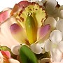 National Tree Company 14" Hydrangea, Rose and Dahlia Bundle (RAS-XY0006-1)~#|#~46A83004-EF05-47B1-8F5F4591AF528A41_sc7
