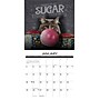 2026 Willow Creek Catspirations 12" x 12" Monthly Wall Calendar (50637)~#|#~46C3DE73-E873-4169-B787E9D574901C2C_sc7