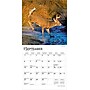 2026 BrownTrout White Tailed Deer 7" x 7" Monthly Wall Calendar (9798330706327)~#|#~46E13ED5-98C9-4333-93431EE16F4C0479_sc7