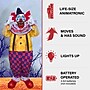 Haunted Hill Farm Motion-Activated Startling Arms Clown by Tekky (HHSTLCLOWN2FLSA)~#|#~46E20ED0-C8A2-47B6-B8CA76F9DCDD019A_sc7