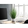 Monarch Specialties Inc. 21" Artificial Grass Plant in Pot (I 9574)~#|#~46E938C5-9880-47CB-8659052255DFD9A5_sc7